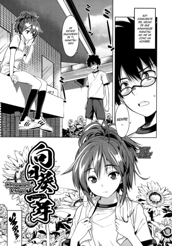 Himawari Ichiga cover
