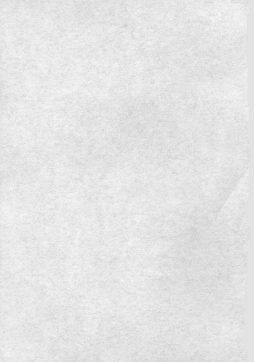Ryoujoku Choukyou Asuka page 2 full