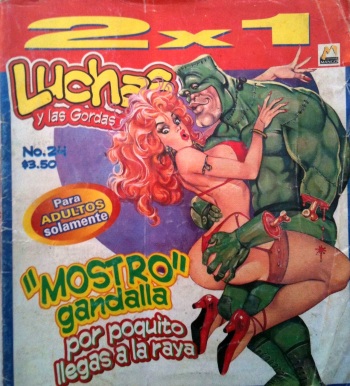 Luchas Calientes 024 cover