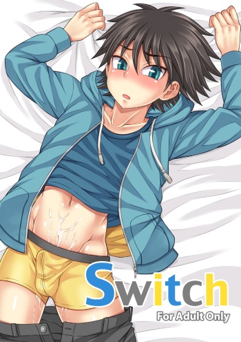 Switch cover