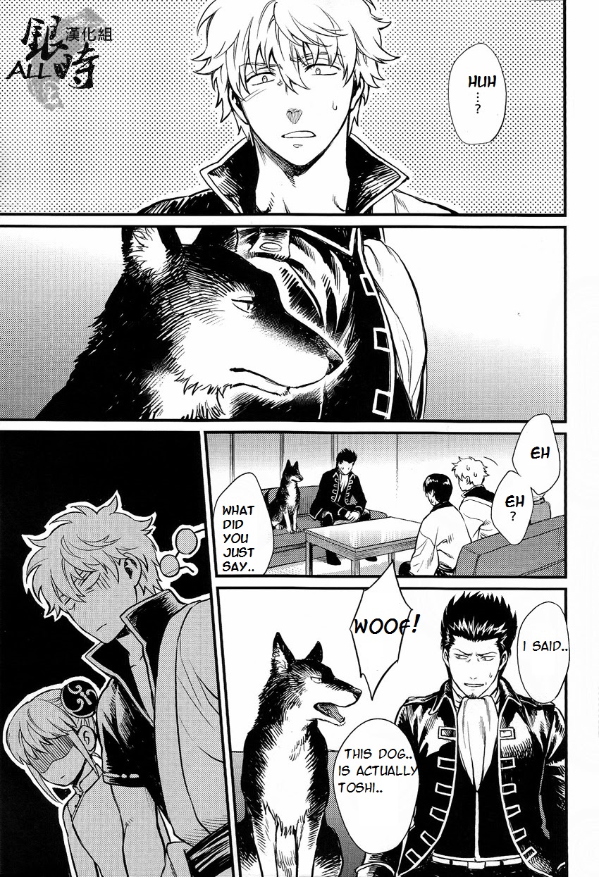 HOW to SPOIL YOUR DOG page 7 full