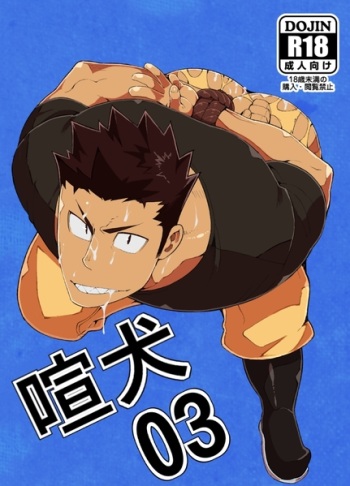 Kenken 03 cover