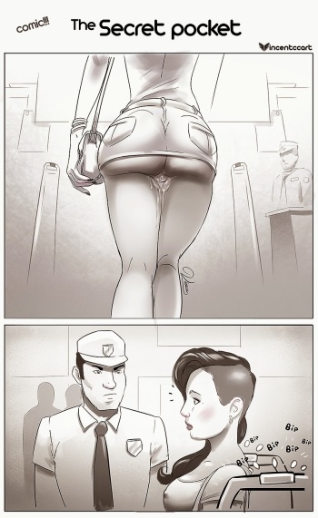 The Secret Pocket cover