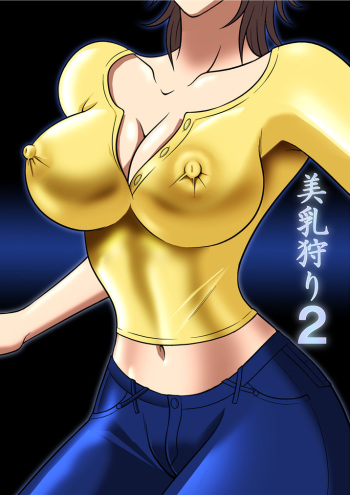 Binyuu Kari 2 cover