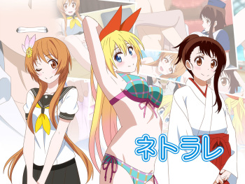 Netorare cover