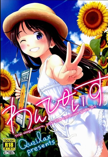 One Piece cover