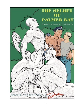 Julius -The Secret of Palmer Bay cover