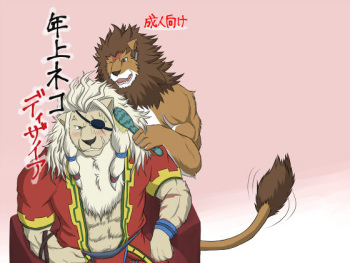 Toshiue Neko Desire cover