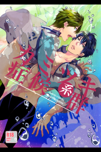 Kamitsuki Kei Shoukougun cover