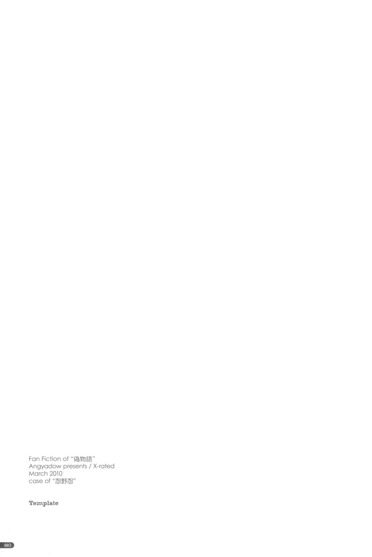 Template page 3 full