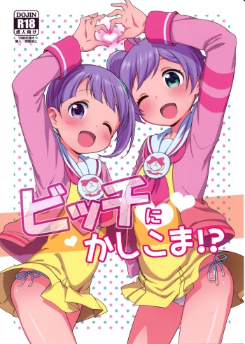 Bitch ni kashikoma!? cover