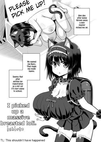 Loli Kyonyuu Hirotta. cover