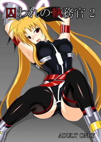 Toraware no Shitsumukan 2 cover
