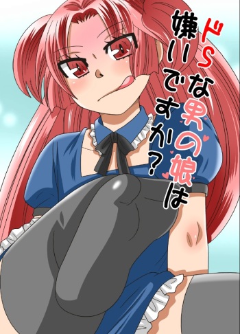 Do S na Otokonoko wa Kirai desu ka? cover