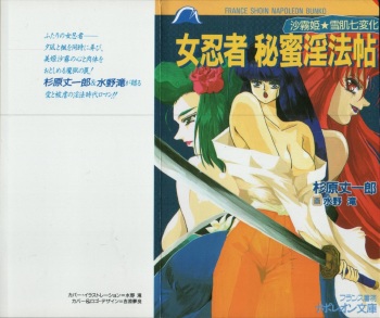 Onna Ninja Himitsu Inpouchou cover
