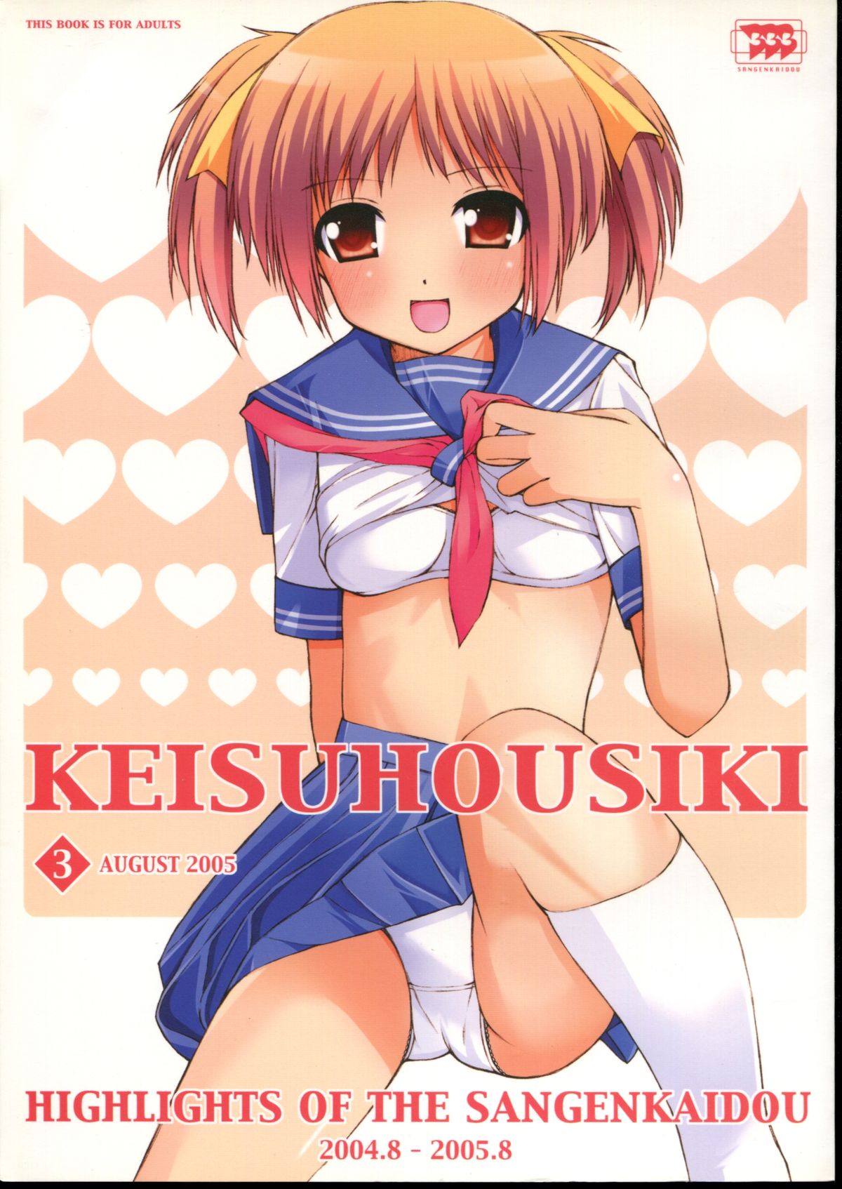 KEISUHOUSIKI 3 page 1 full