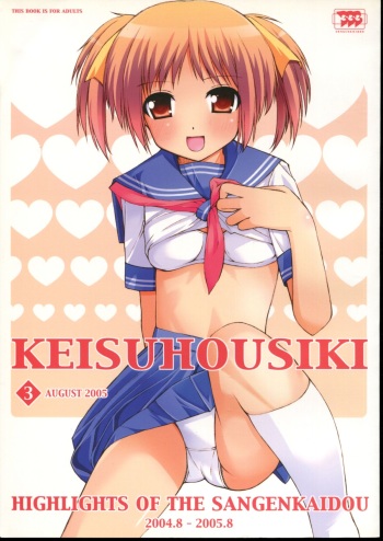 KEISUHOUSIKI 3 cover