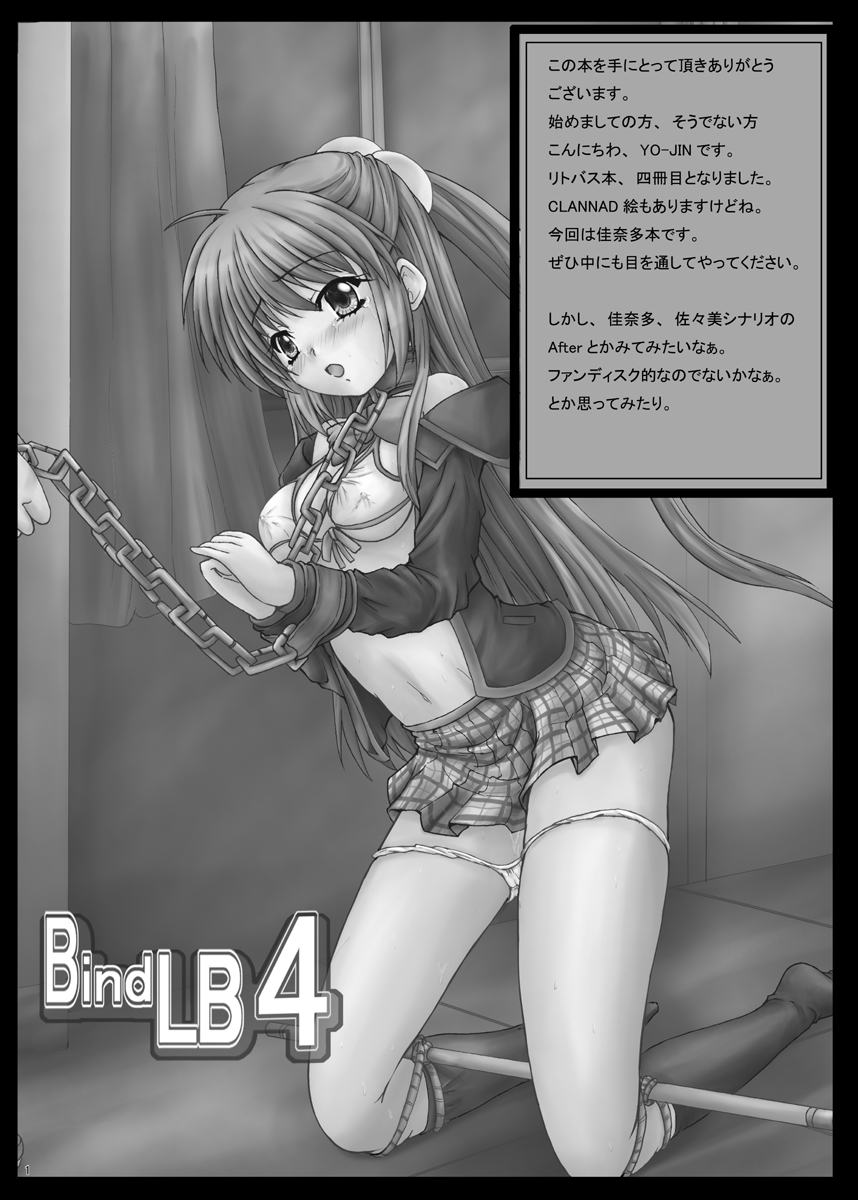 BindLB4 page 2 full