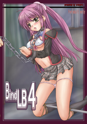 BindLB4 cover