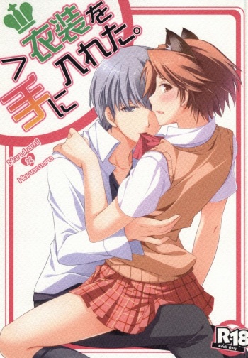 ＞Ishou o Te ni Ireta cover