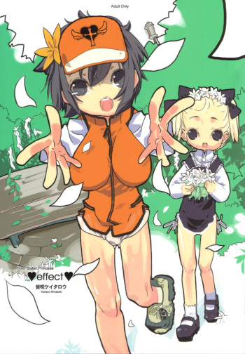 Effect cover