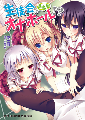 Seitokai wa Boku Senyou Onahole!? cover