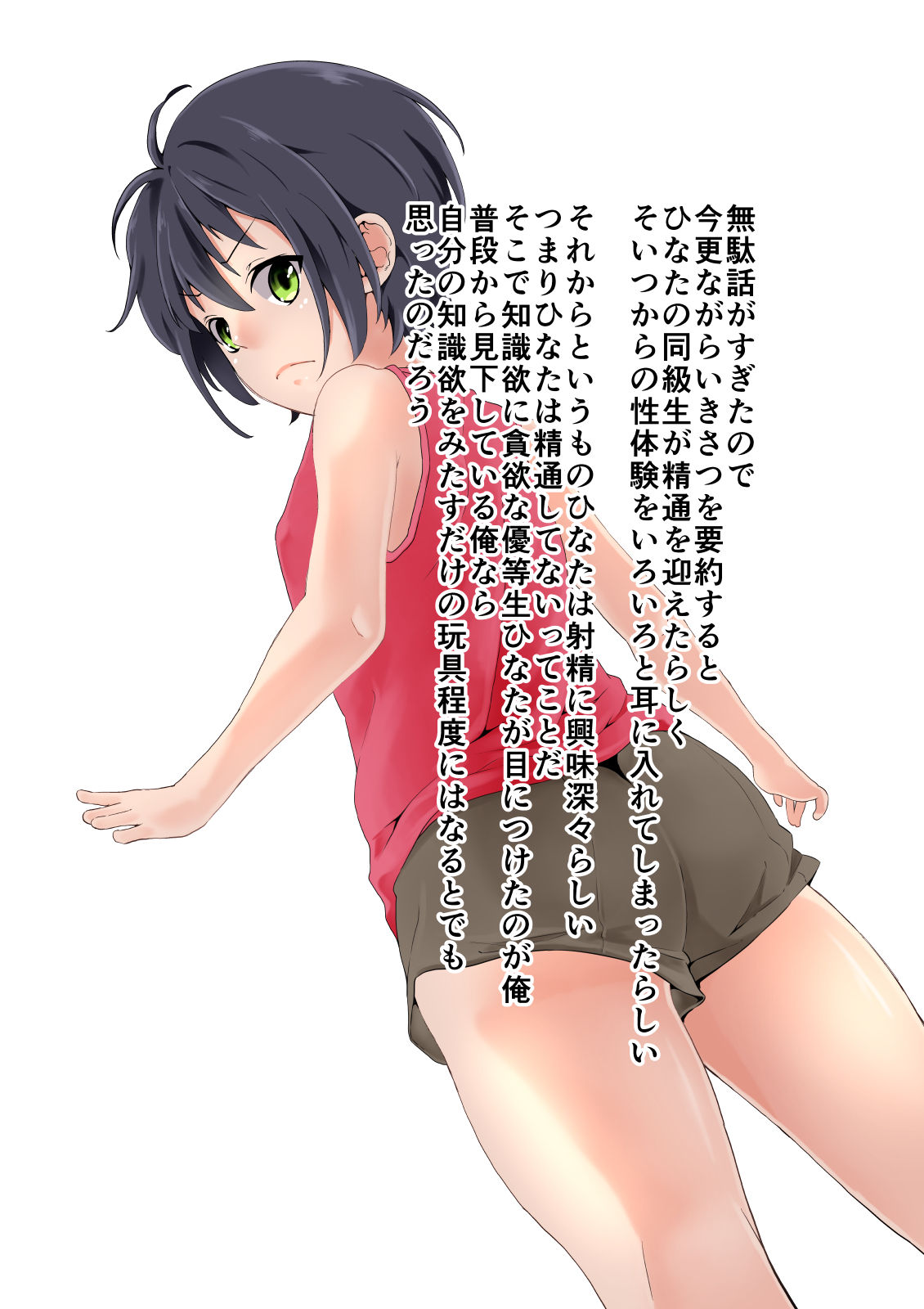 Ore no Tsundere Otouto ga Sei Kyouiku o Kikkake ni Nakadashi Junkie ni Ochite Shimatta Ken page 10 full