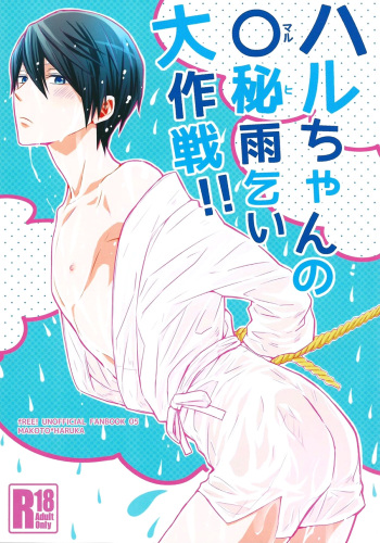 Haru-chan no Maru-Hi Amagoi Daisakusen!! cover