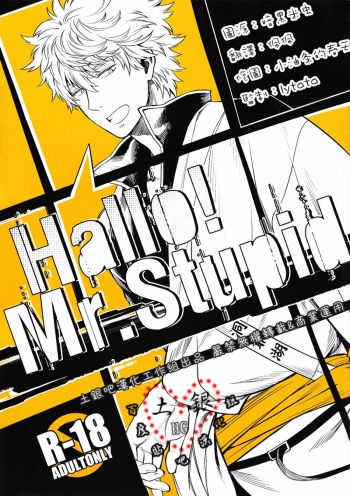 Hallo! Mr.Stupid cover