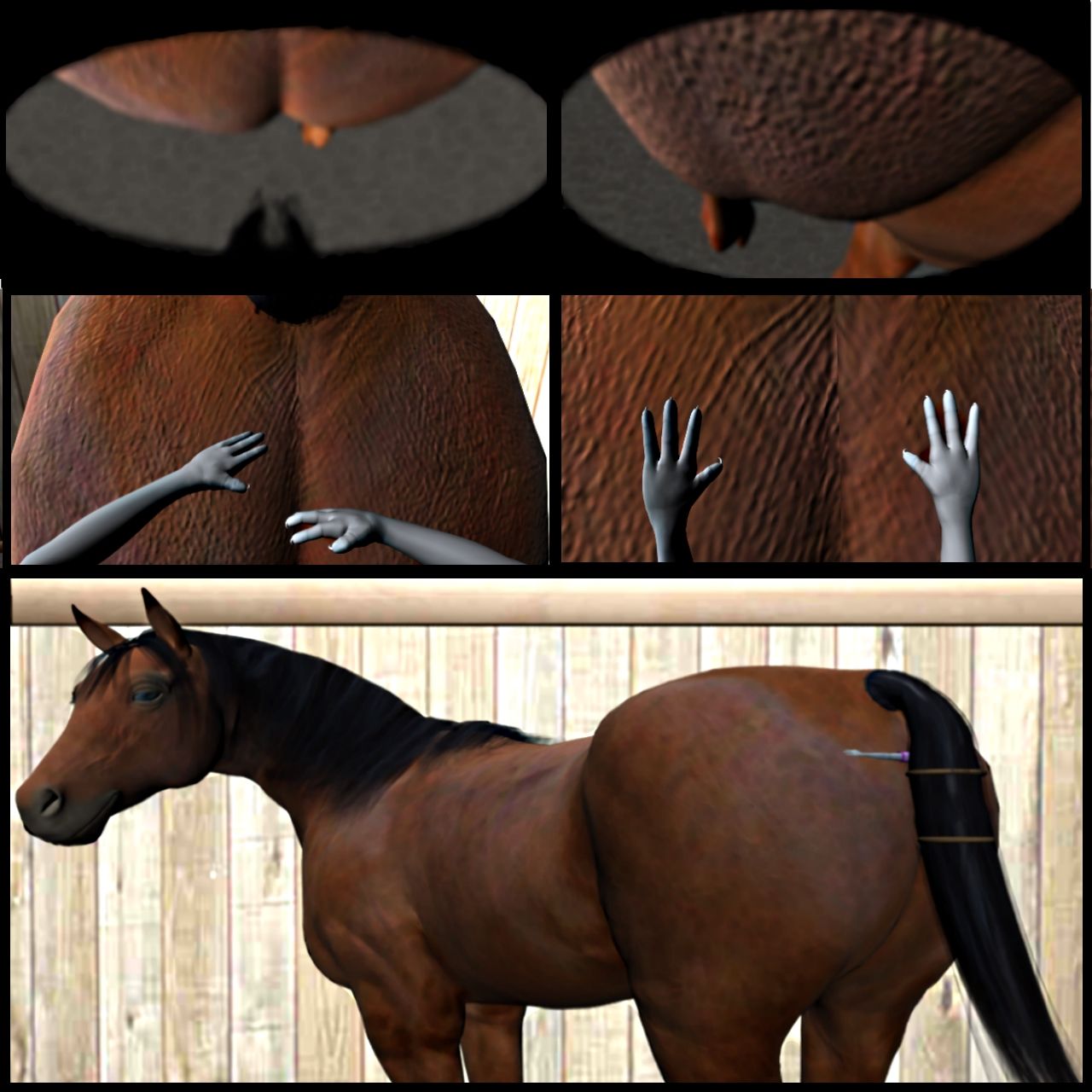 If You Crush On A Horse, Then The Horse Will Want To Crush You page 9 full