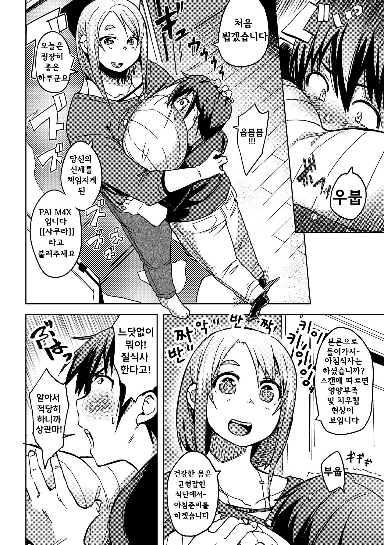 PAI-M4X Sakura page 4 full