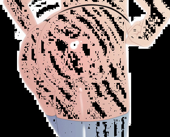 HardTrap IMGS cover
