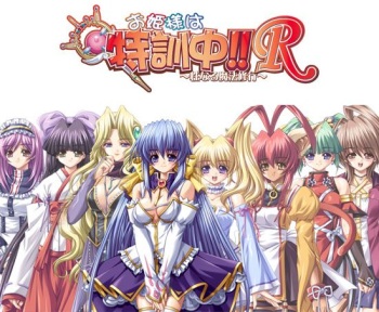 Ohime-sama wa Tokkunchuu!! R ~Seinaru Mahou Shugyou~ cover