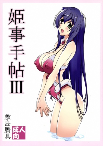 Himegoto Techou III cover