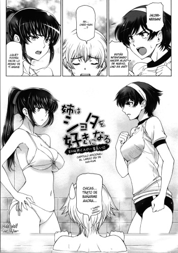 Ane wa Shota o Sukininaru Bangaihen ~Kai-kun no Ichiban Nagai Hi~ cover