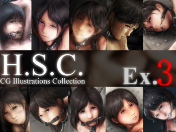 H.S.C. Illust Collection Ex.3 cover