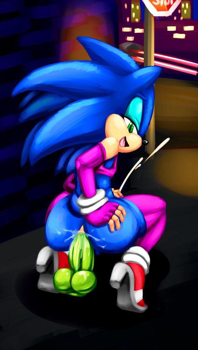 SONICTHE HEDGEHOG BITCH 2 page 1 full