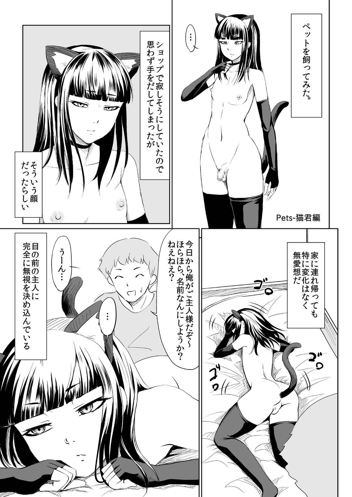 Pets- page 2 full