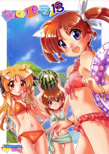 Nano Para 13 cover