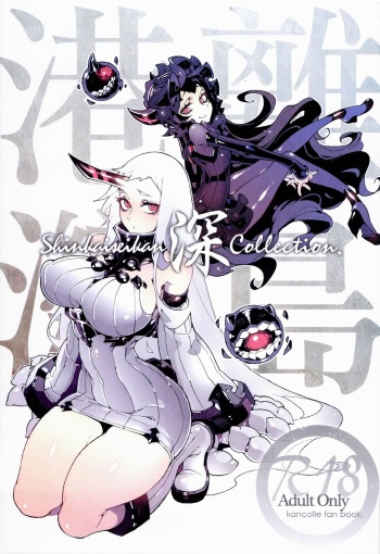 Shinkaiseikan ~Kouwan Ritou~ cover