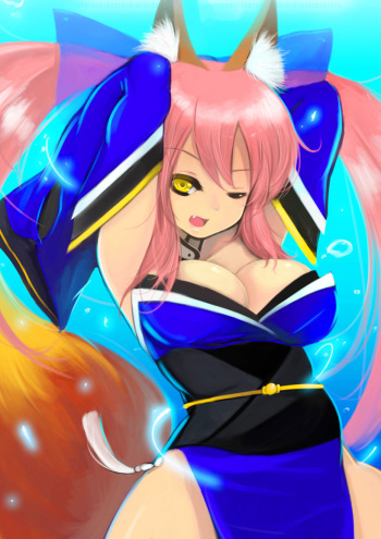 Caster cover