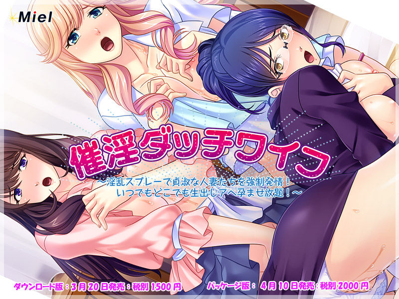 Saiin Dutch Wife ~Inran Spray de Teishuku na Hitozuma-tachi wo Kyousei Hatsujou! Itsudemo Dokodemo Namadashi Ahe Haramase Houdai!~ page 3 full
