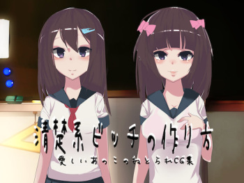 Seisokei Bitch no Tsukurikata cover