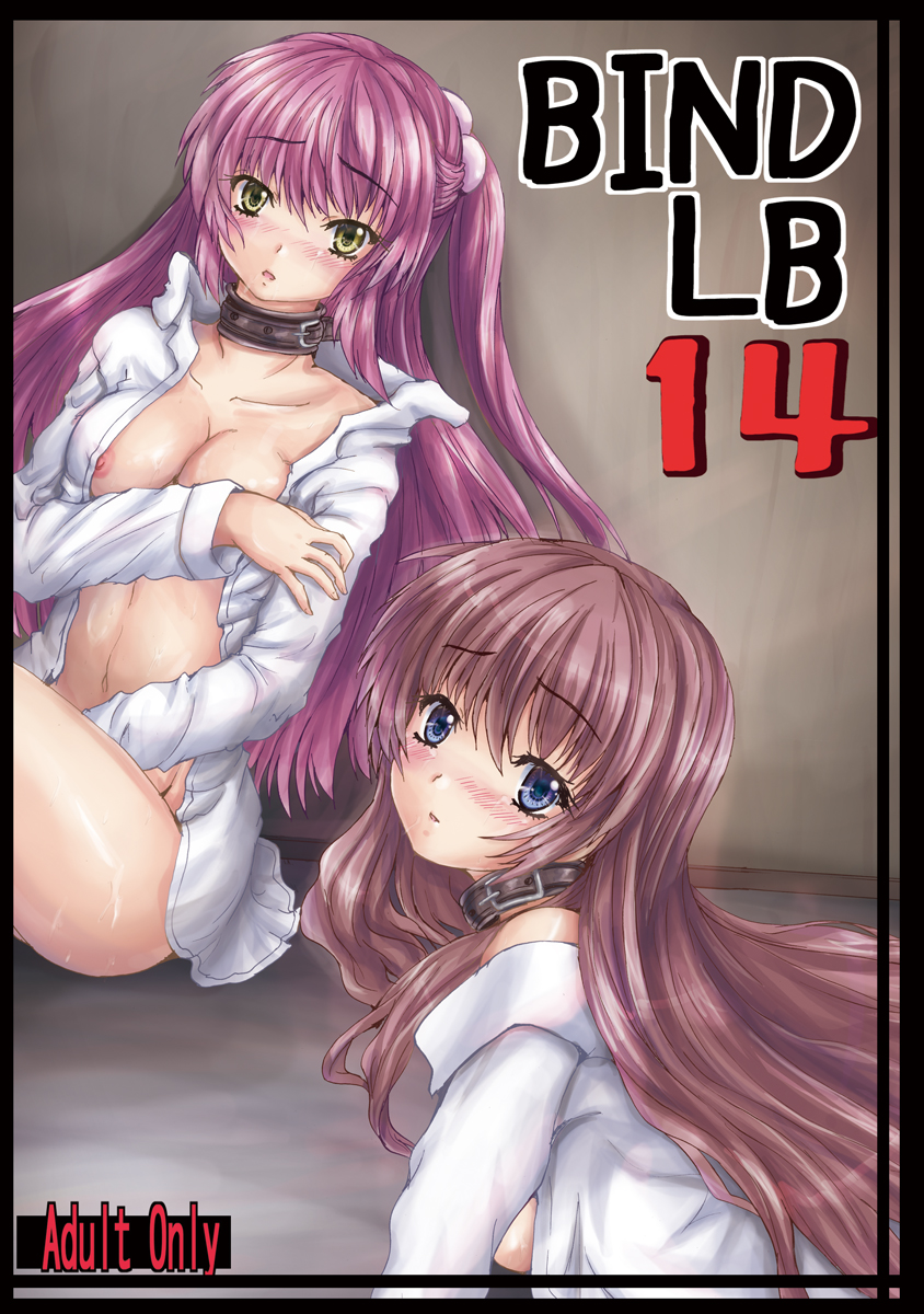 BindLB14 page 1 full