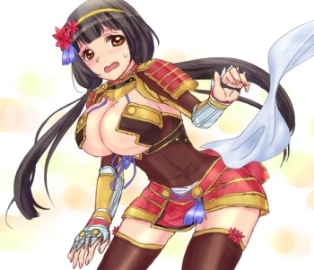 Naotora Ii cover