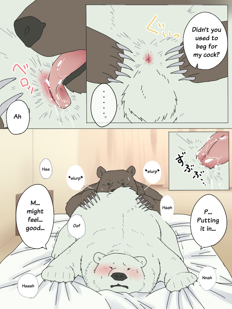 Shirokuma-san to Haiiroguma-san ga Ecchi suru dake | Polar Bear and Grizzly Just Have Sex page 8 full