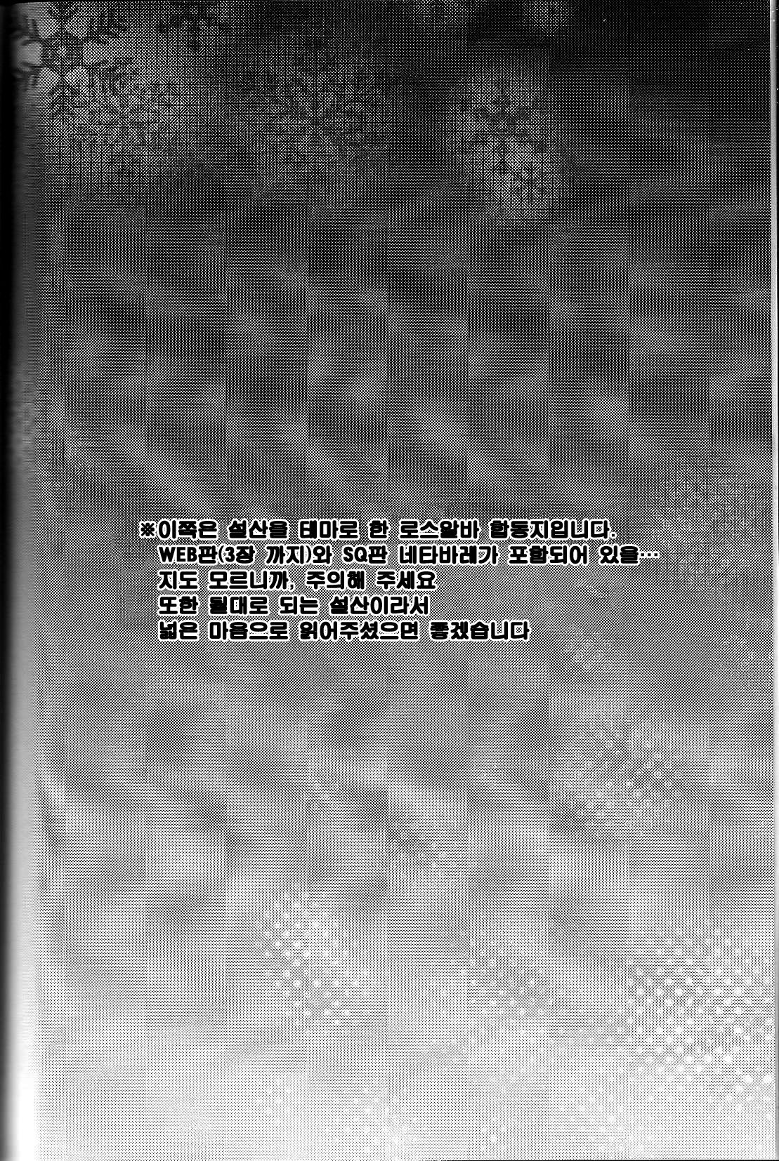 snowMIX page 5 full