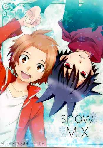 snowMIX cover