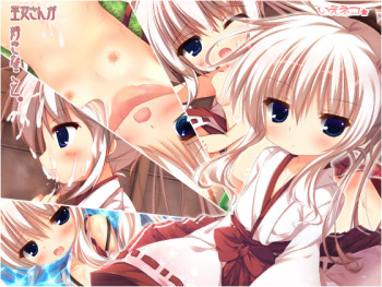Miko-san ga Suki na Koto. cover