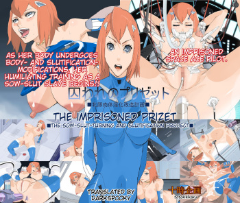 Toraware no Prizet ~Mesubuta Nikutai Inka Kaizou Keikaku~ | The imprisoned Prizet  ~The sow-slut-turning and slutification project ~ cover
